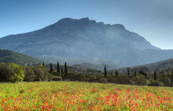 Mas à vendre Luberon et Provence